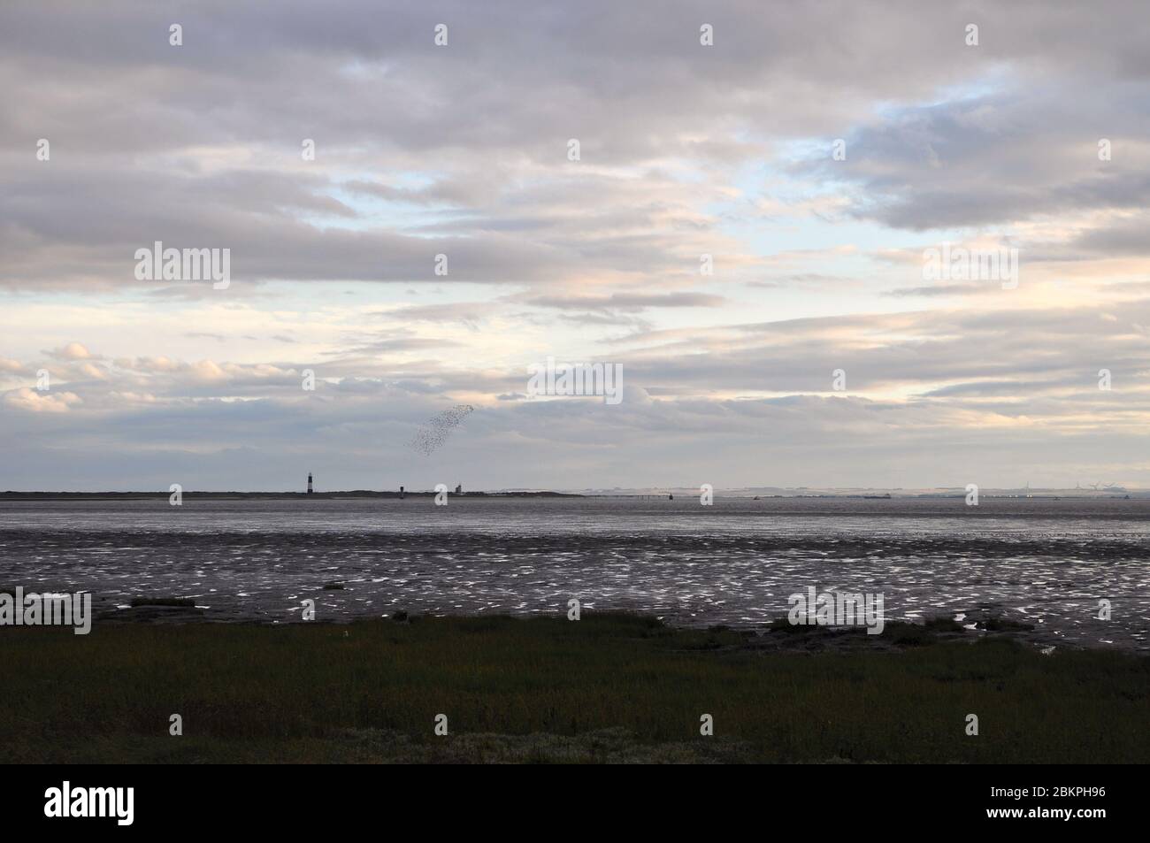 Spurn National Nature Reserve, Kilnsea, Hull, Yorkshire Stockfoto