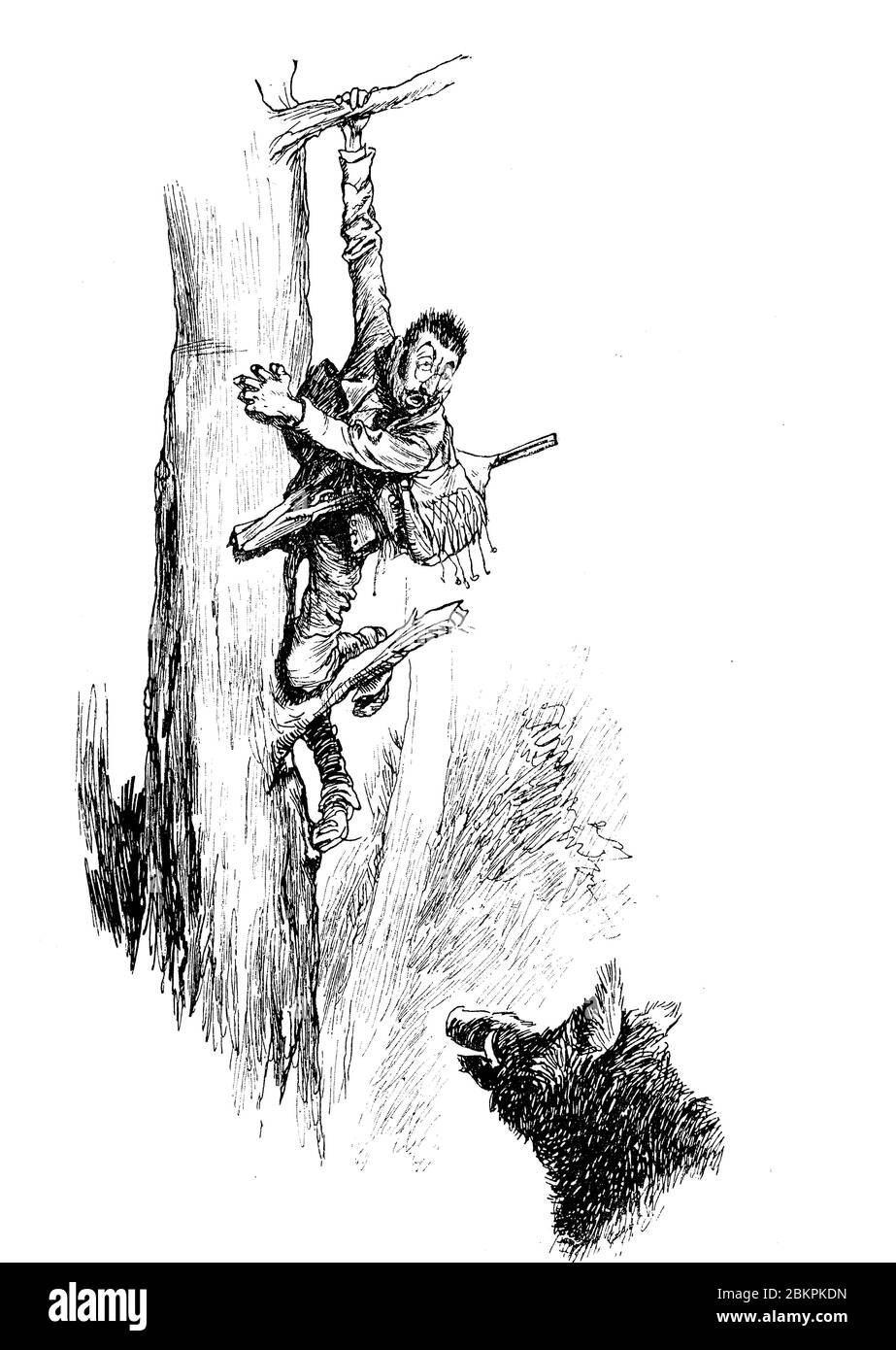 Humor und Karikaturen 19. Jahrhundert: Unglücklicher Jäger versucht, einem Wildschwein zu entkommen, der auf einem Baum Zuflucht sucht Stockfoto