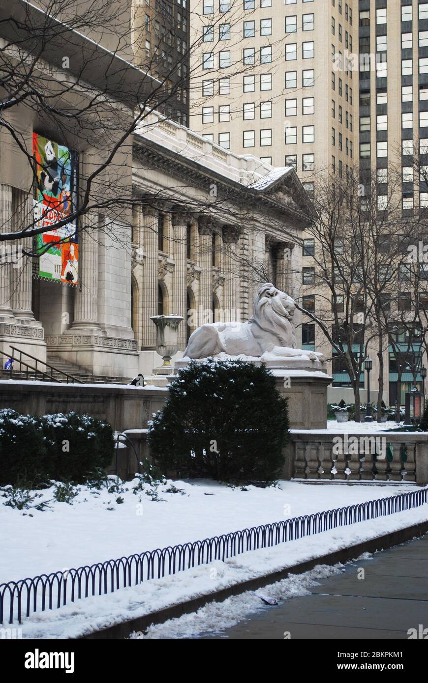 Lion Statue Beaux-Arts Classical New York Public Library 476 Fifth Avenue, Manhattan, New York von Carrere & Hastings E. C. Potter Piccirilli Brothers Stockfoto