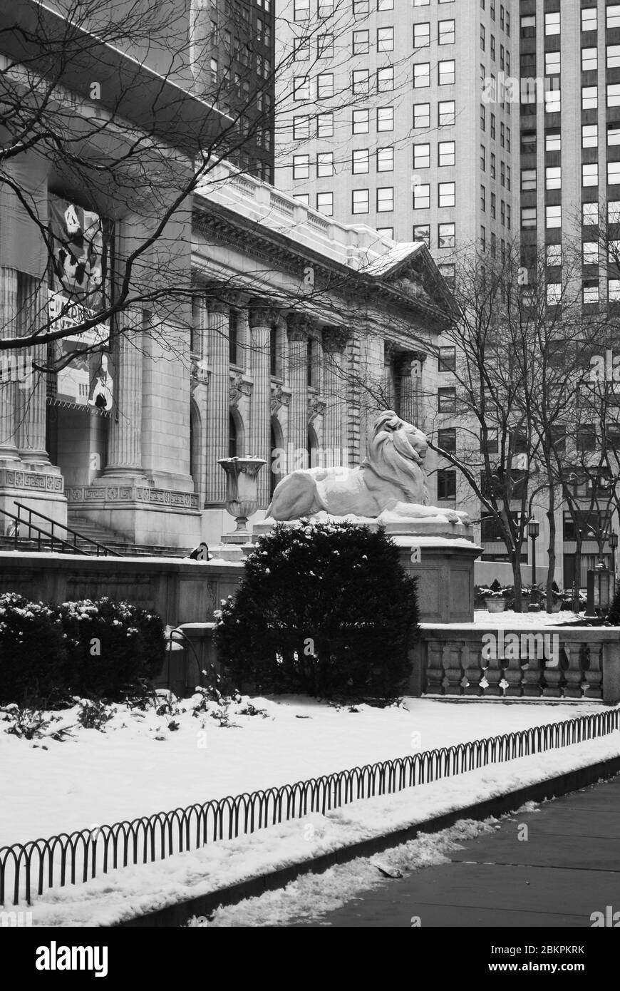 Lion Statue Beaux-Arts Classical New York Public Library 476 Fifth Avenue, Manhattan, New York von Carrere & Hastings E. C. Potter Piccirilli Brothers Stockfoto
