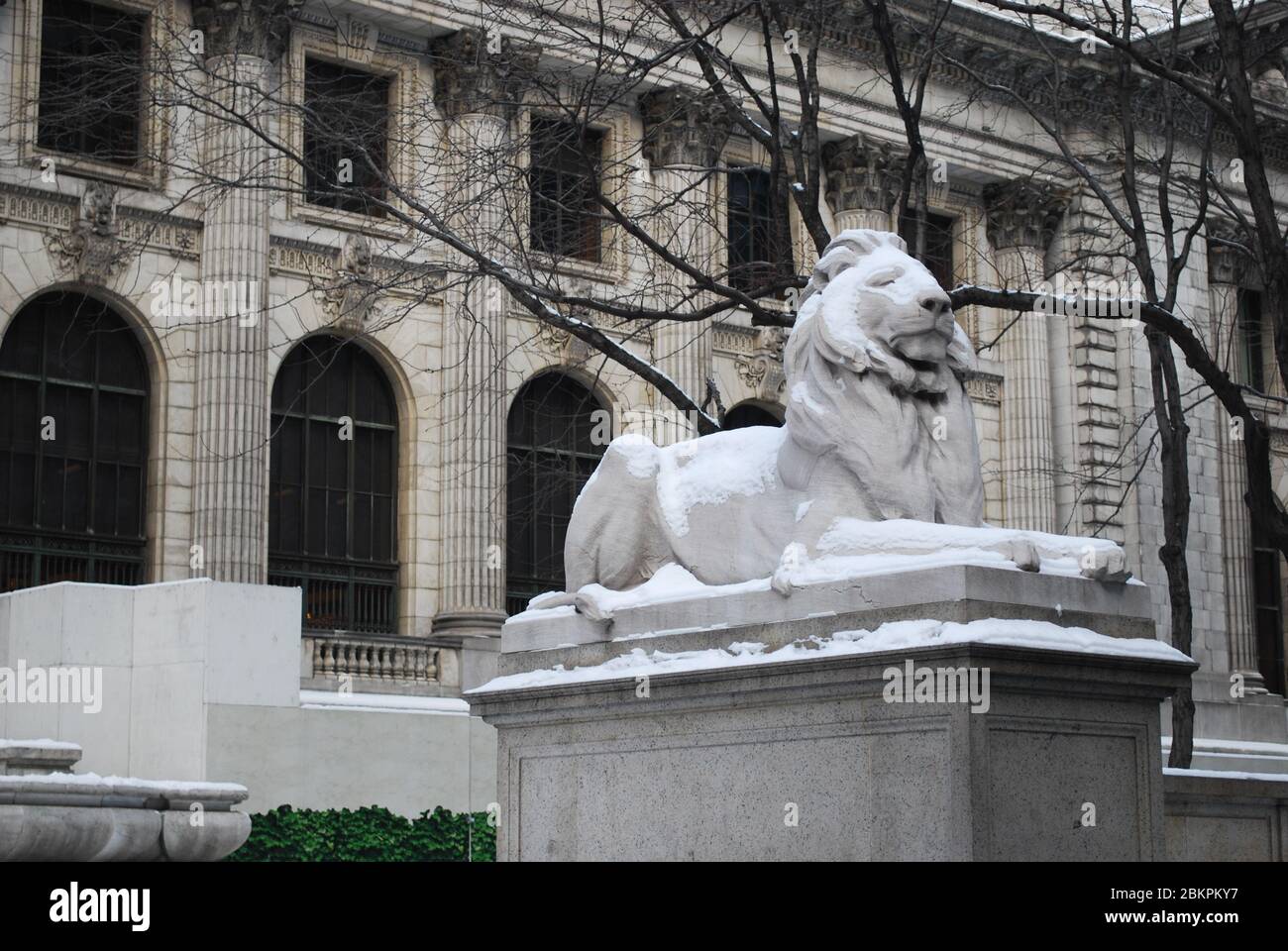 Lion Statue Beaux-Arts Classical New York Public Library 476 Fifth Avenue, Manhattan, New York von Carrere & Hastings E. C. Potter Piccirilli Brothers Stockfoto