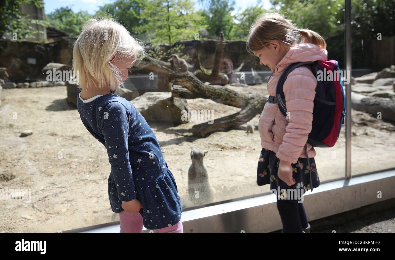 firo: 05.05.2020 ZOO Erdmv§nchen sind sehr neugierig auf die ersten jungen Gäste, die mit einem großen Grinsen durch den Zoo liefen. Hier sind zwei junge Mädchen am Fenster zum Erdmvännchen. ERSTE FREIGABEN DER CORONA-Virus-RESTRIKTIONEN AB HEUTE 2.00 Uhr DÜRFEN IM ALLWETTER-ZOO IN MVNNTER besichtigt werden an den drei Kassen gab es lange Schlangen, aber immer unter Berücksichtigung der Entfernung und der Hygienevorschriften weltweit Stockfoto