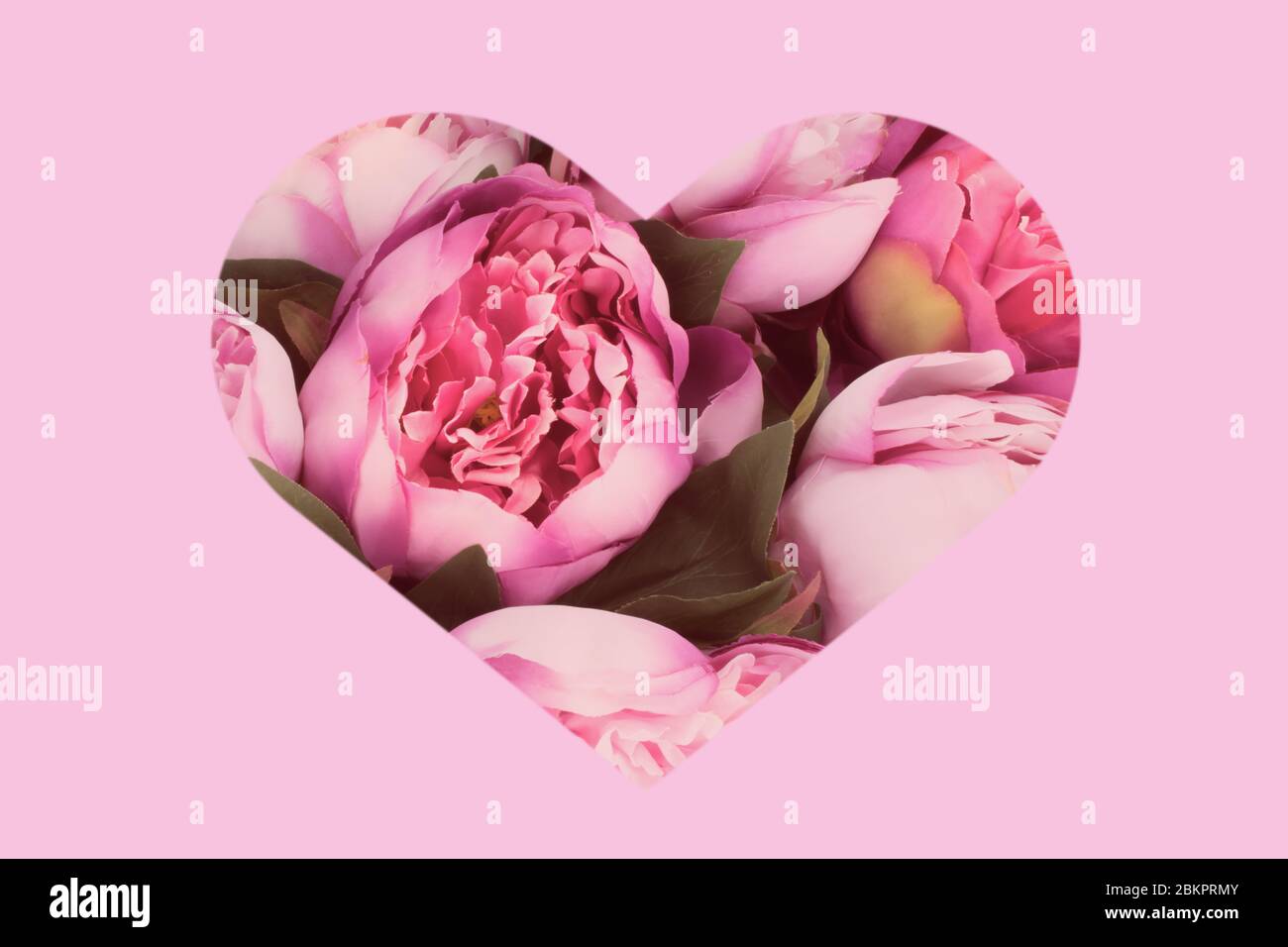 Rosa herzförmiger Rahmen mit Pfingstrosen. Blumen Urlaub Grußkarte Hintergrund - Muttertag, Frauen Tag, Valentinstag. Stockfoto