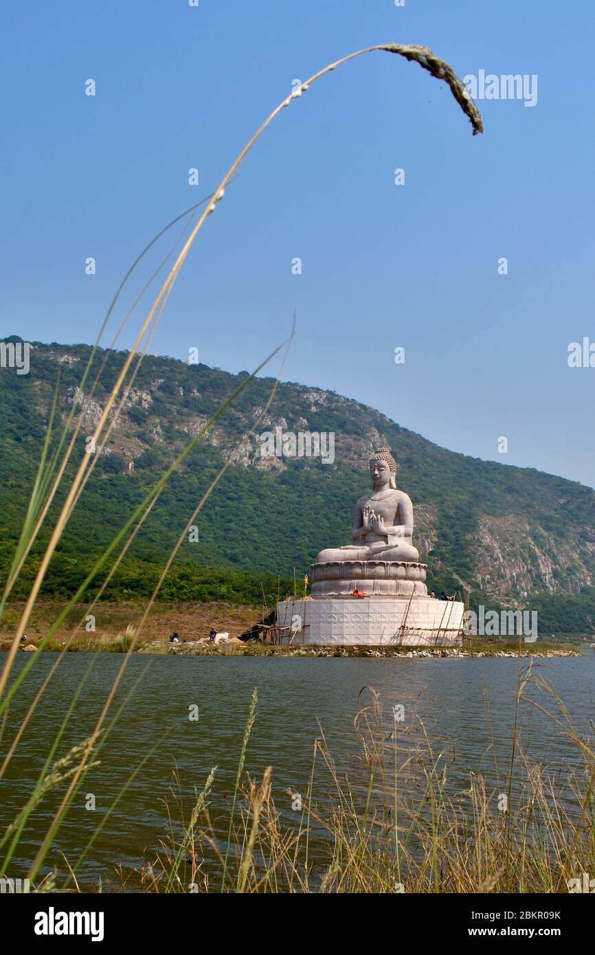 Buddha-Statue in Rajgir, Bihar Stockfoto