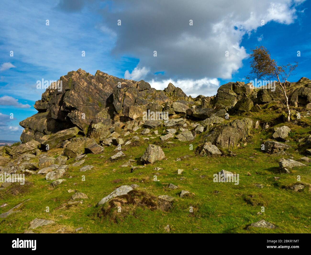 Igneous Felsen am Beacon Hill Country Park in der Nähe von Loughborough in Leicestershire England Stockfoto