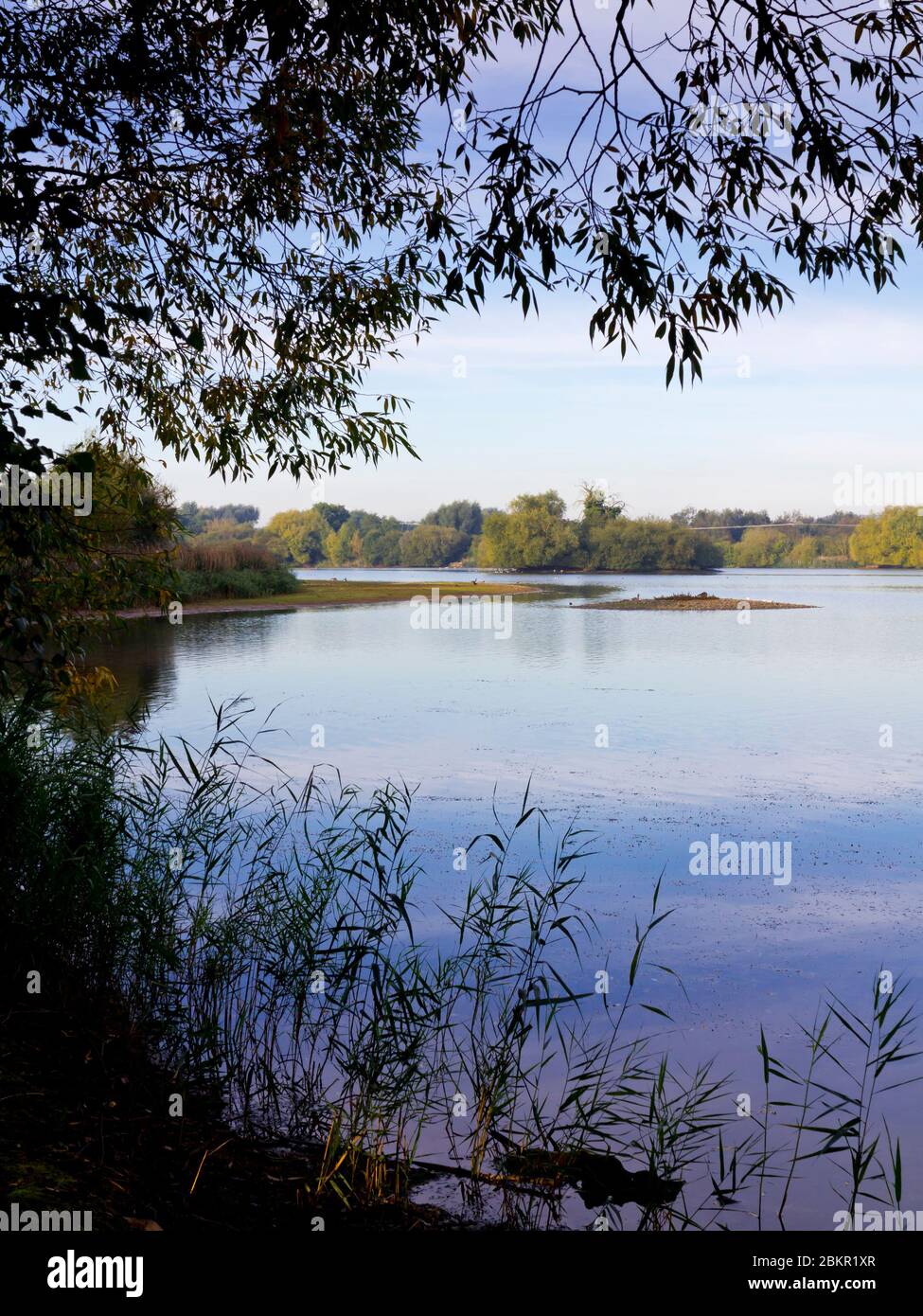 Branston Water Park in Staffordshire England UK eine ehemalige Tagebau Kiesgrube, die angelegt wurde, um einen See und Naturschutzgebiet zu schaffen. Stockfoto