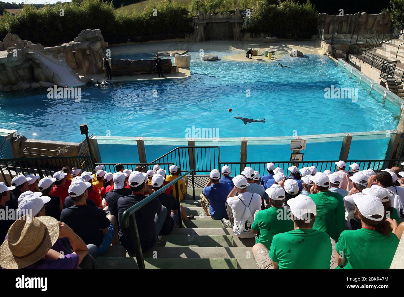 Frankreich, Loir et Cher, Loire-Tal, das von der UNESCO zum Weltkulturerbe erklärt wurde, Loir et Cher, Saint-Aignan-sur-Cher, Beauval Zoo, die Seelöwenschau Stockfoto