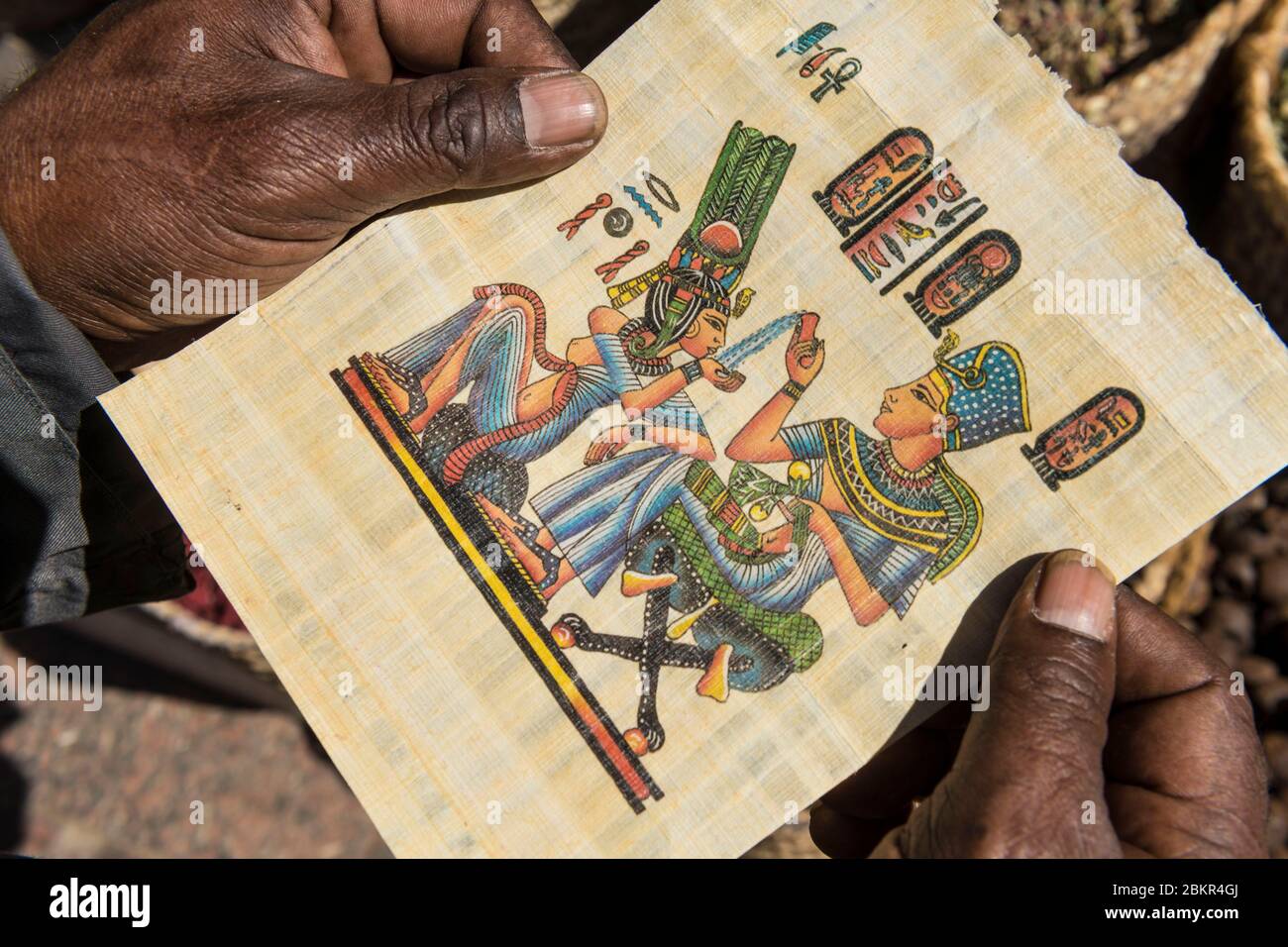 Ägypten, Oberägypten, Niltal, Assuan, Papyrus Stockfoto