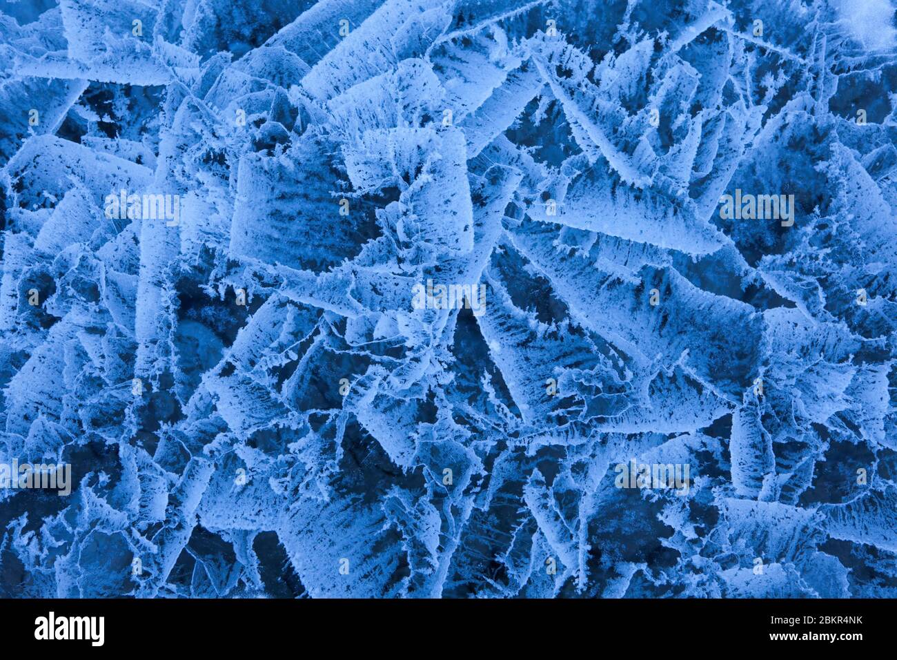 Kanada, Alberta, Banff National Park, riesige Eiskristalle auf der Oberfläche eines Sees Stockfoto