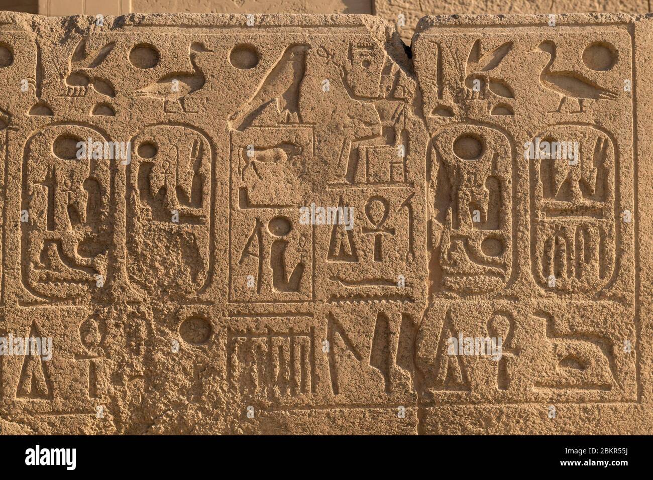 Ägypten, Oberägypten, Niltal, Luxor, Karnak, als Weltkulturerbe von der UNESCO, Tempel zu Amon Gott gewidmet, Details der Basrelief, papua Chef Mundiya Kepanga Stockfoto