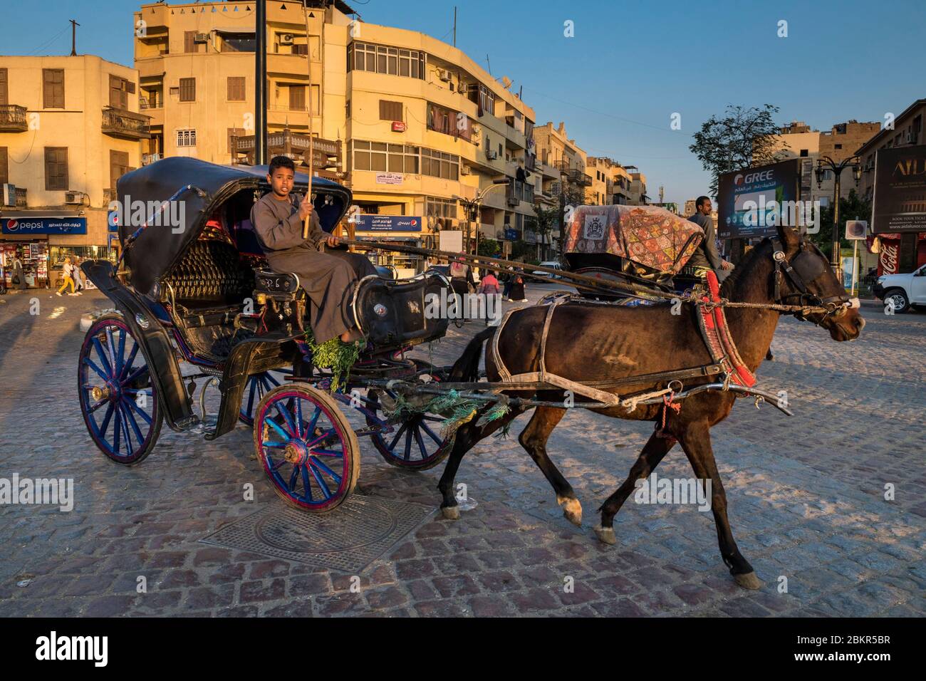 Ägypten, Oberägypten, Niltal, Luxor, Pferdekutsche Stockfoto