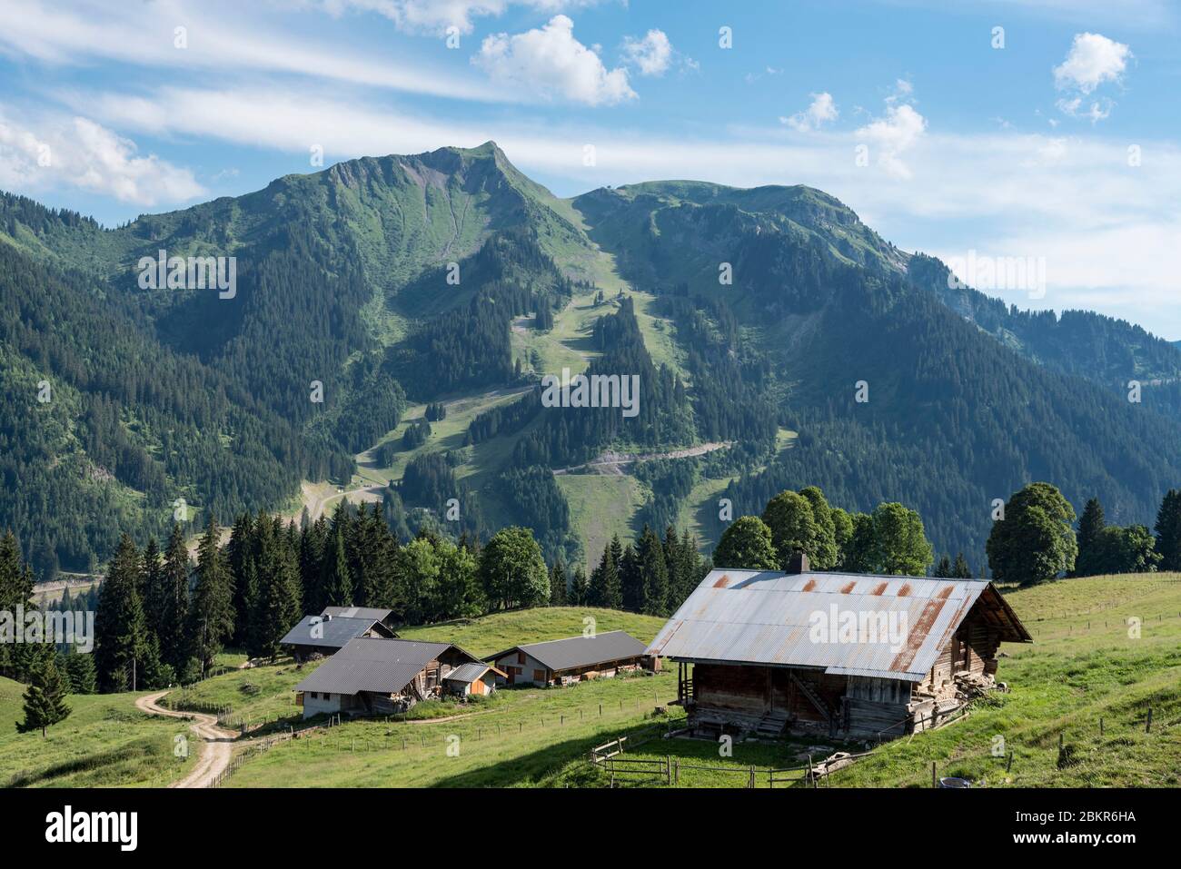 Frankreich, Haute-Savoie (74), Massif du Chablais, La Chapelle-d'Abondance, Naturschutzgebiet des Mont de Grange, die Chalets in der Alm les Boudimes Stockfoto