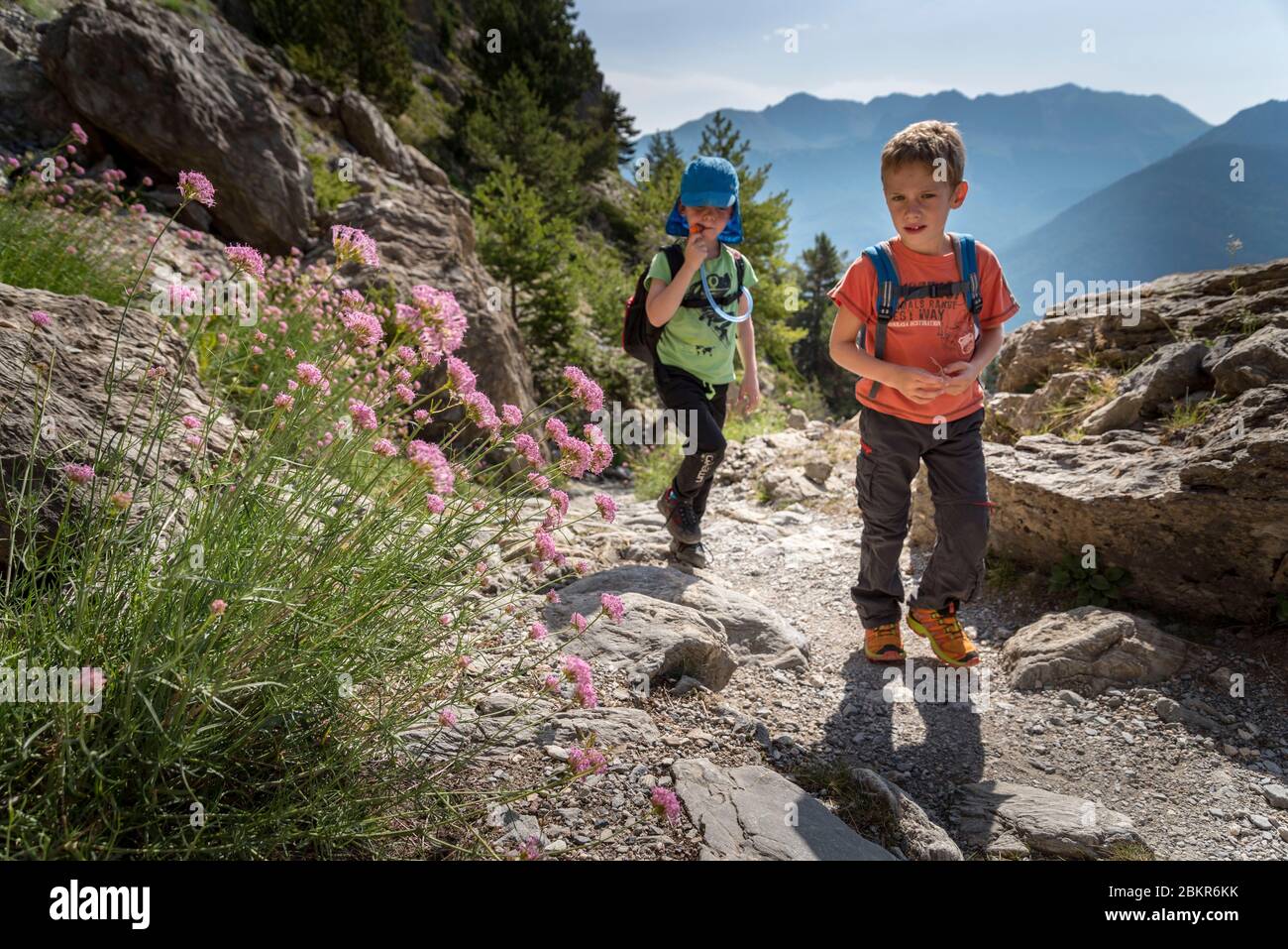 Frankreich, Hautes-Alpes (05), regionaler Naturpark Queyras, Arvieux, Wanderer, die in Richtung der Hütte Furfande wandern Stockfoto