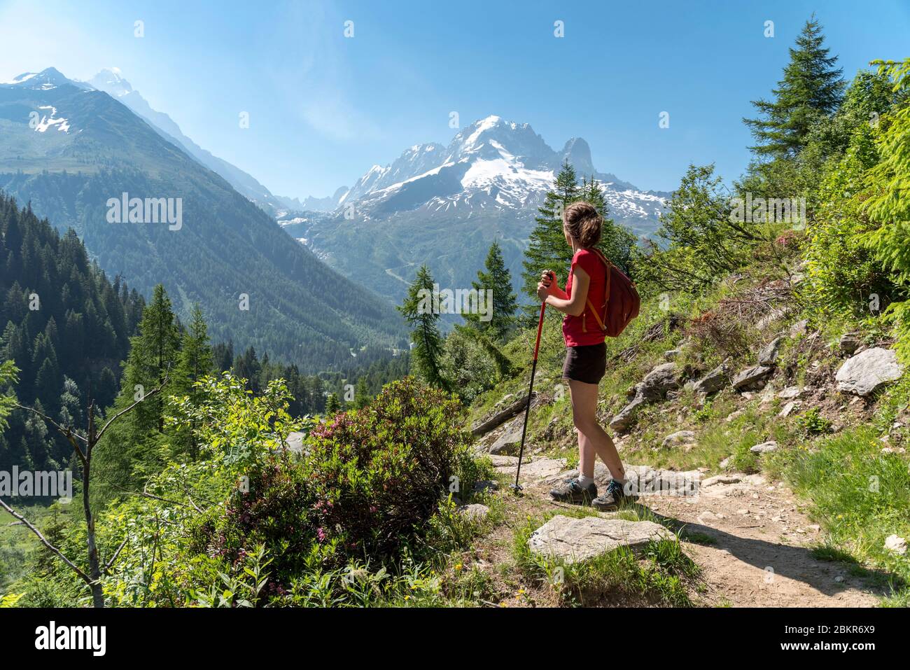 Frankreich, Haute-Savoie (74), Argenti?re, Lac de la Remuaz, Wanderer auf der GRP Tour du Pays du Mont-Blanc mit der Aiguille Verte (4122m) und der Drus (3754m) im Hintergrund Stockfoto