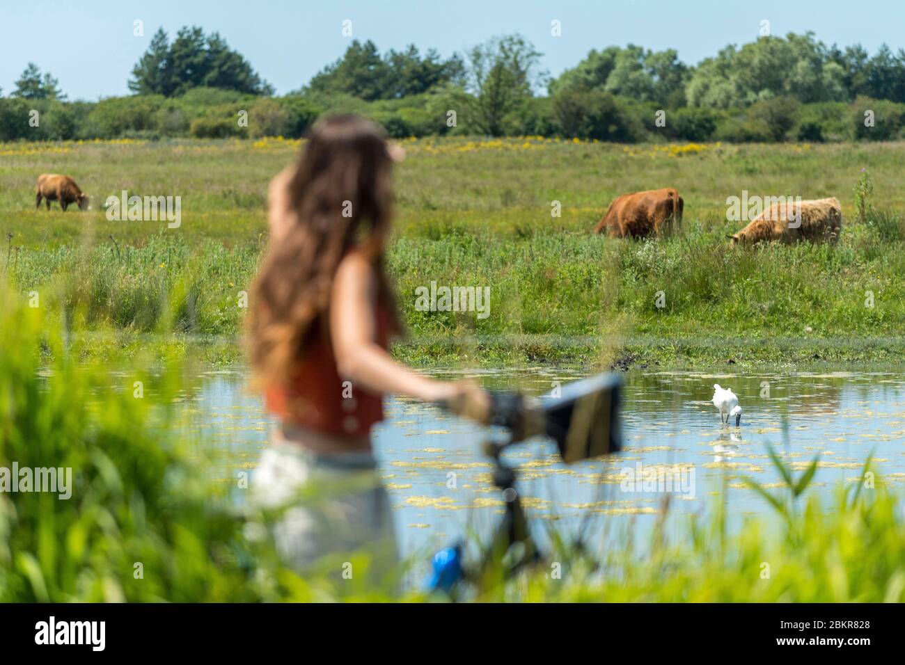 Frankreich, Somme, Le Crotoy, Radtouristen in der Baie de Somme entlang der Seefahrradroute Stockfoto