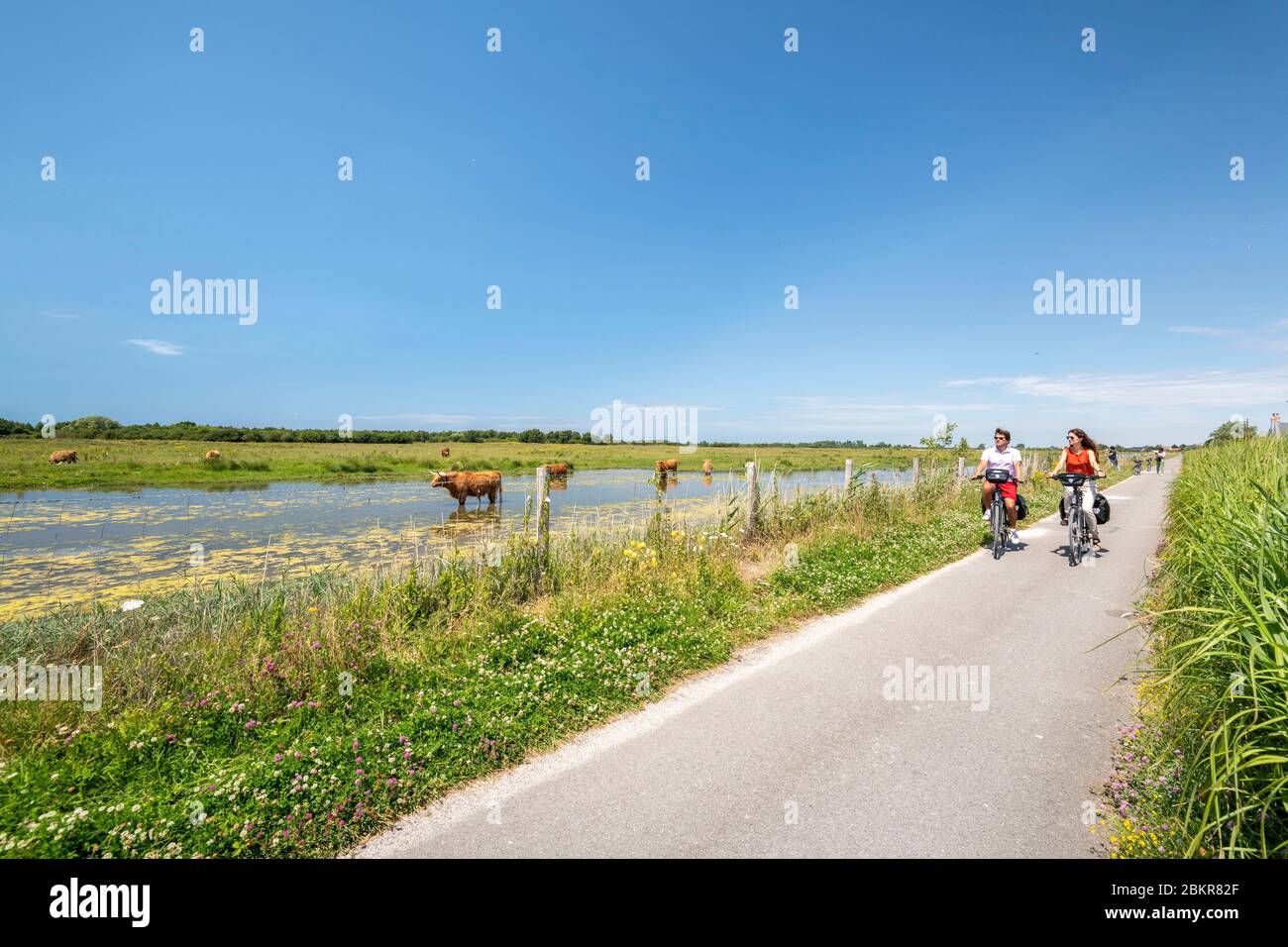 Frankreich, Somme, Le Crotoy, Radtouristen in der Baie de Somme entlang der Seefahrradroute Stockfoto