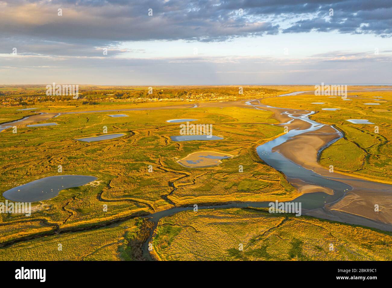 Frankreich, Somme (80), Baie de Somme, Saint-Valery-sur-Somme, die gesalzenen Wiesen der Baie de Somme in einem schönen Morgenlicht, Blick auf Saint-valery-sur-Somme (Luftaufnahme) Stockfoto