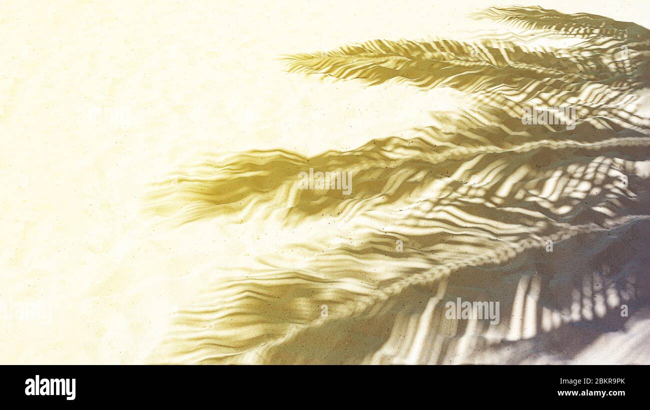 Palmenblatt Schatten auf einem weißen Sand am tropischen Strand. Trendy Urlaub Sommer Konzept. Selektiver Fokus. Stockfoto