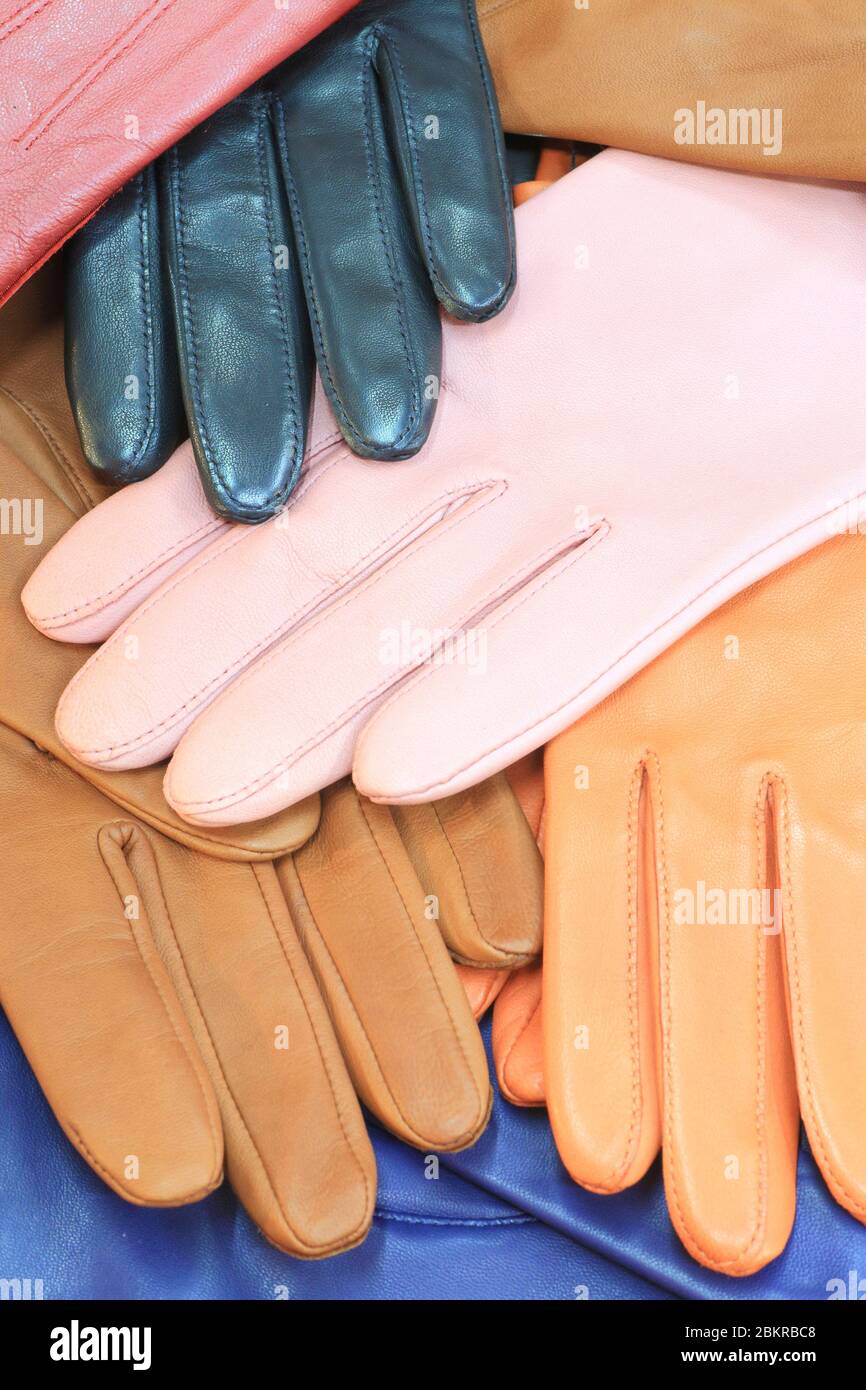 Frankreich, Haute Vienne, Limoges, Saint Junien, deren Expertise in der Herstellung von Hauthandschuhen in das Inventar des immateriellen Kulturerbes in Frankreich, Luxus-Lederhandschuhe eingetragen ist Stockfoto