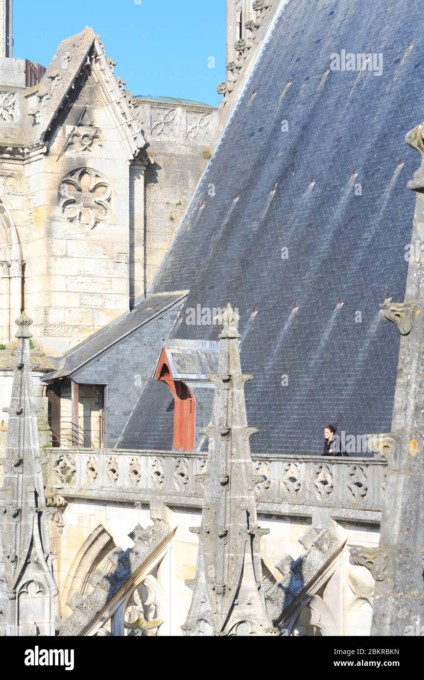Frankreich, Loiret, Orleans, Sainte Croix Kathedrale (1601-1829), Besuch der Dächer Stockfoto