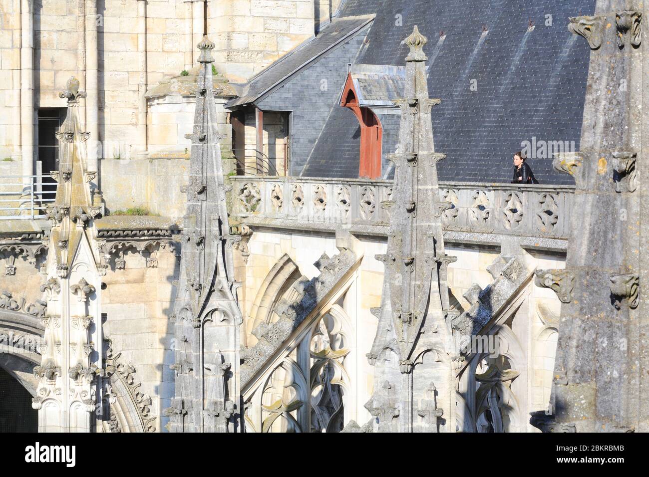 Frankreich, Loiret, Orleans, Sainte Croix Kathedrale (1601-1829), Besuch der Dächer Stockfoto