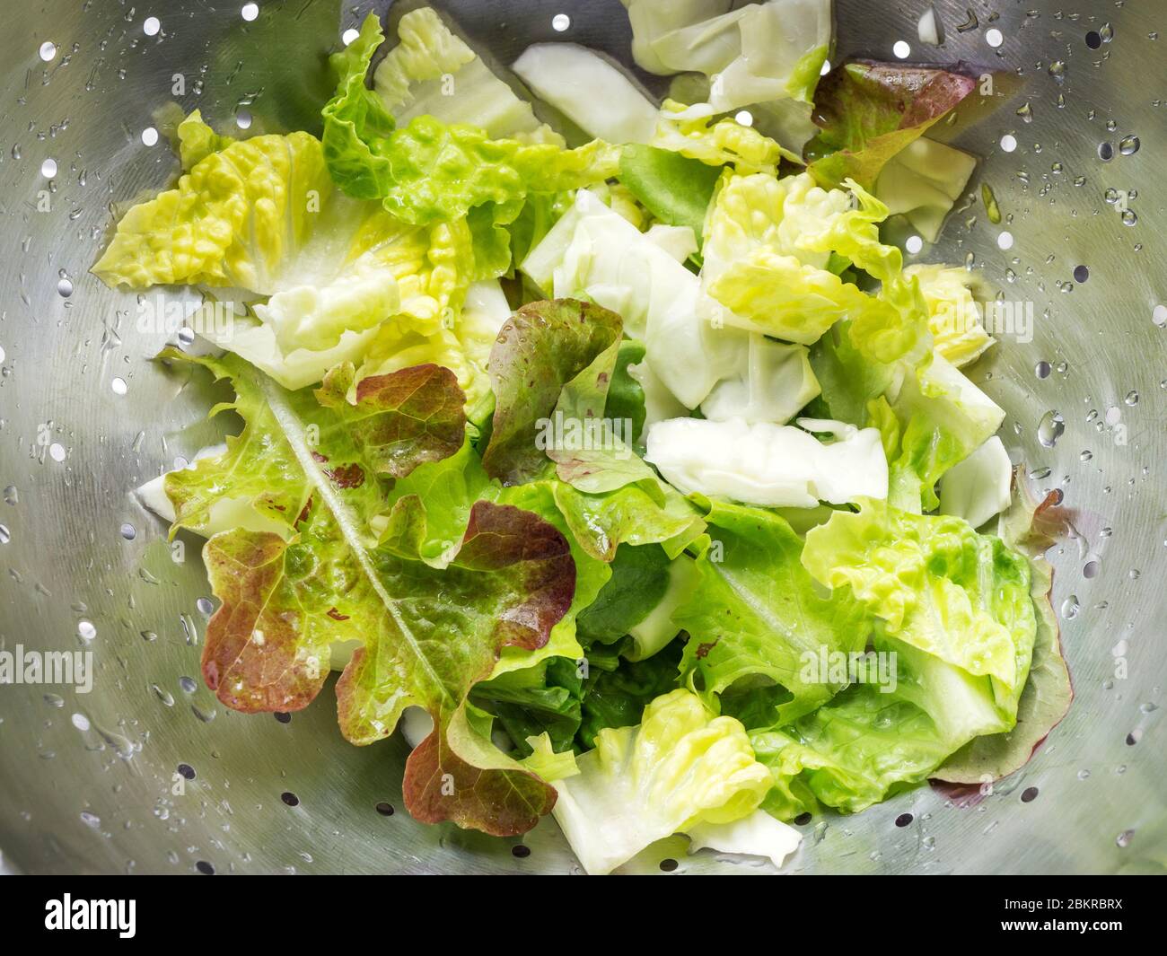 Frisch gemischter grüner Salat aus Salatblättern, darunter Eichenblatt Salatschüssel und Romaine Salat in einem Sieb Stockfoto