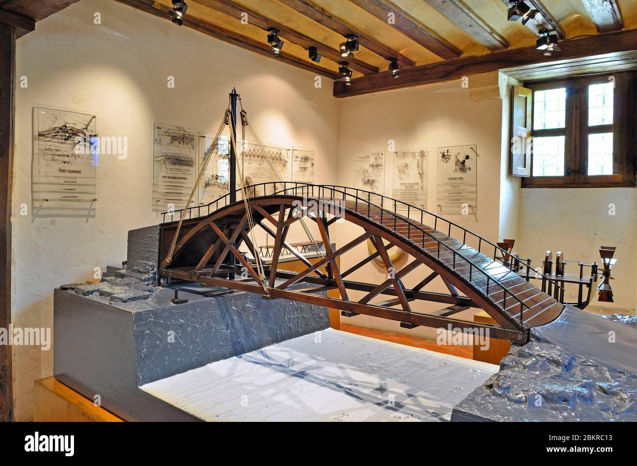 Orthopädisches Behandlungszentrum - Leonardo Da Vinci Haus Frankreich, Indre et Loire, Loire-Tal, das von der UNESCO zum