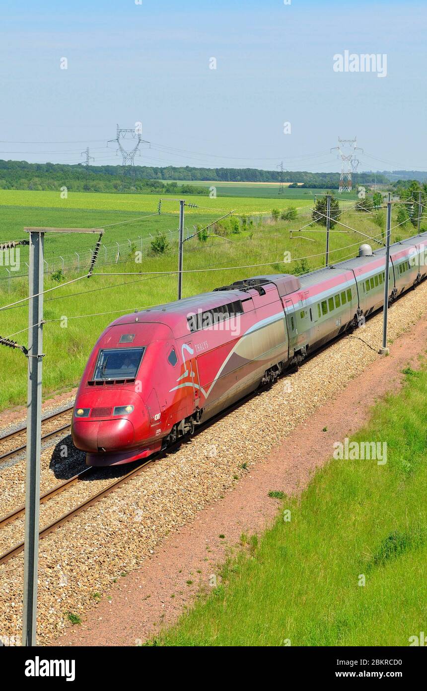 Frankreich, seine et Marne, TGV, Hochgeschwindigkeitszug Stockfoto