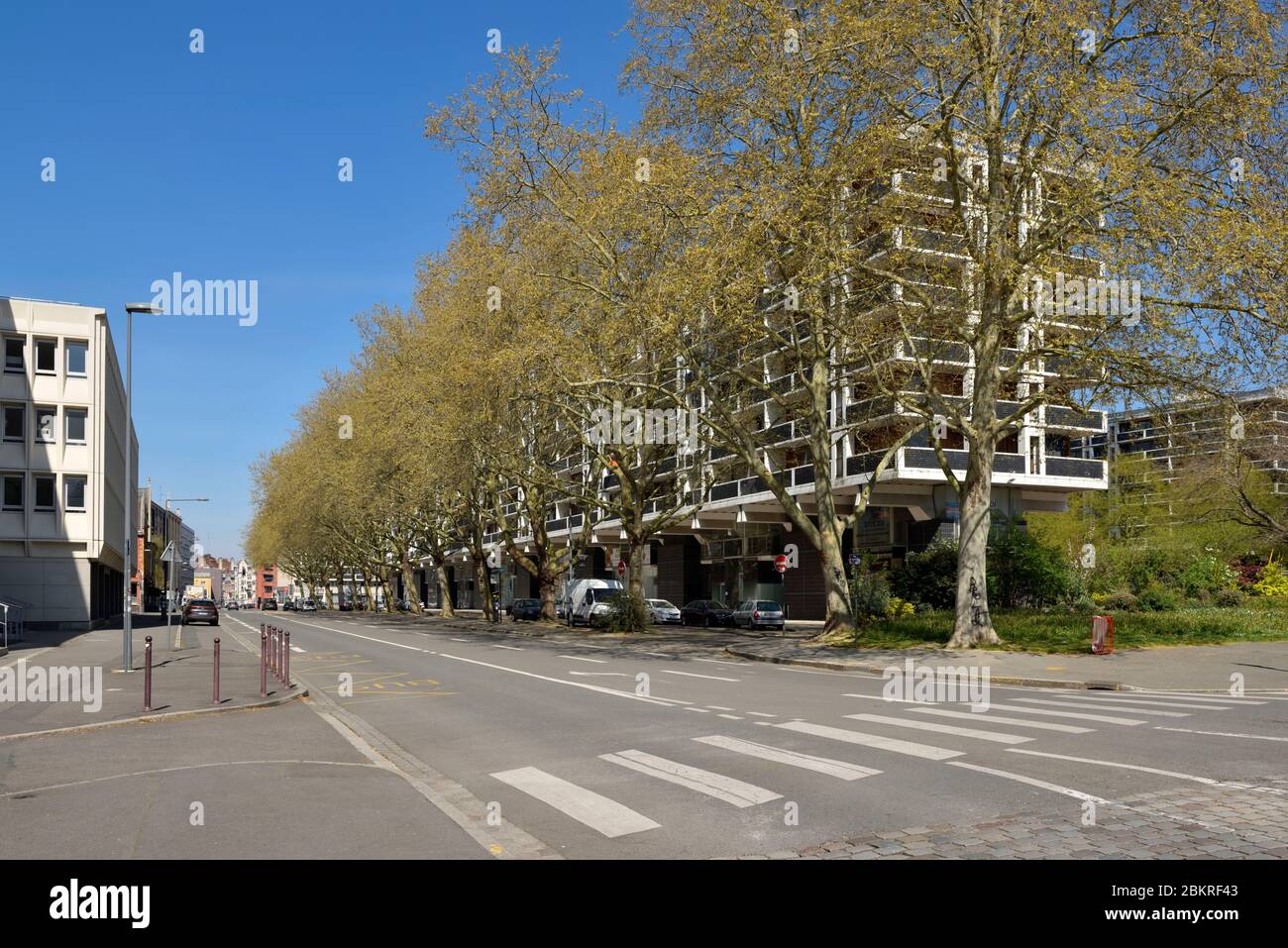 Frankreich, Nord, Lille, Covid-19 oder Coronavirus Sperrung, Straße Pierre Mauroy (älteste Straße von Paris) leer Stockfoto