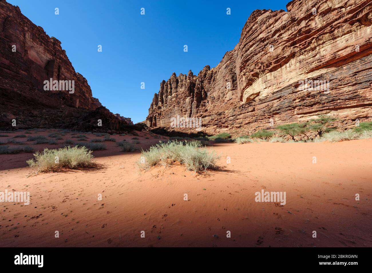 Gegend um das Dorf Al-Disah, Tabuk Region, Saudi-Arabien Stockfoto