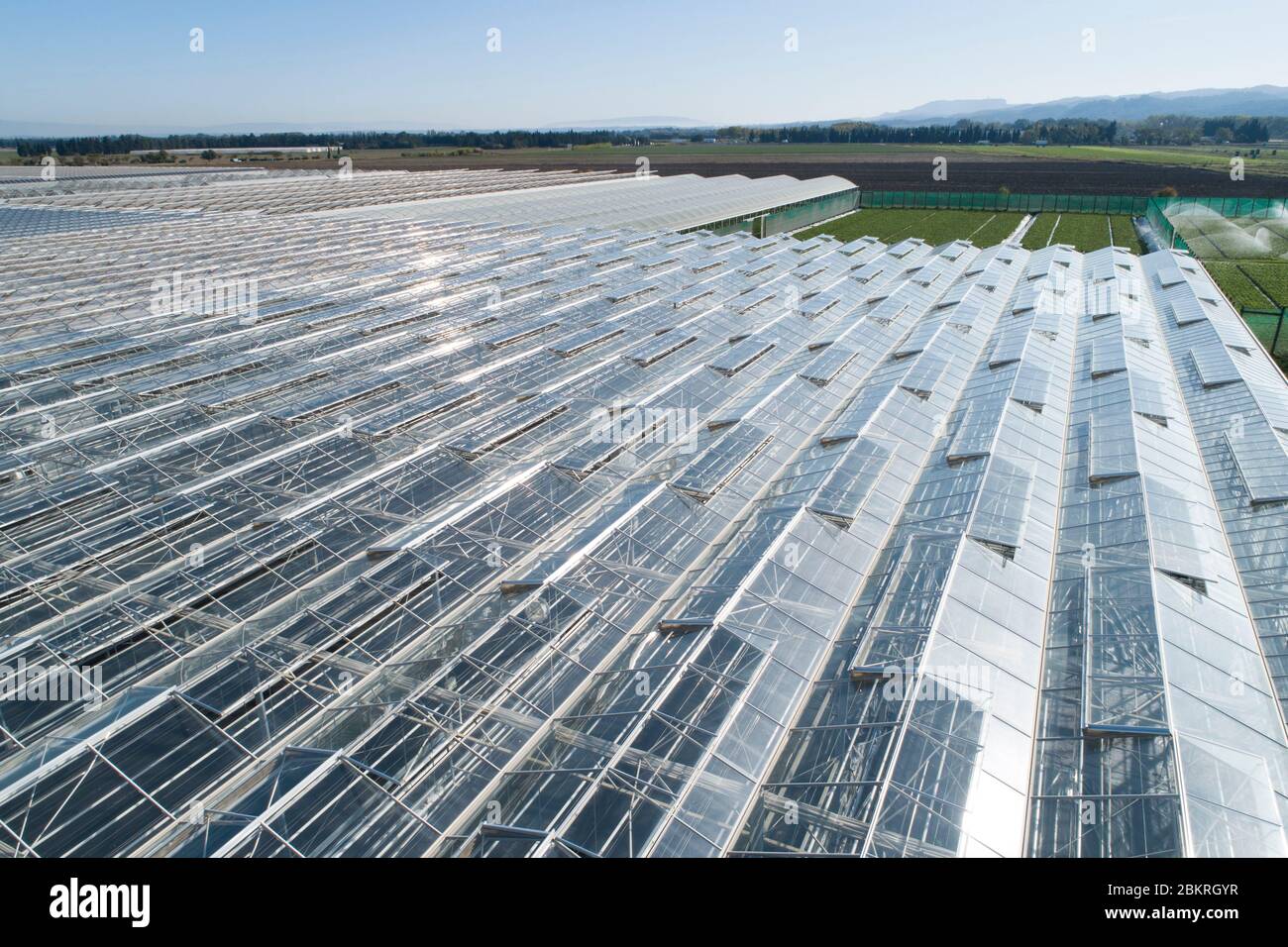 Frankreich, Bouches du Rhone, Pflanzen der Provence, Gewächshaus, Produktion von Gartenpflanzen (Luftaufnahme) Stockfoto