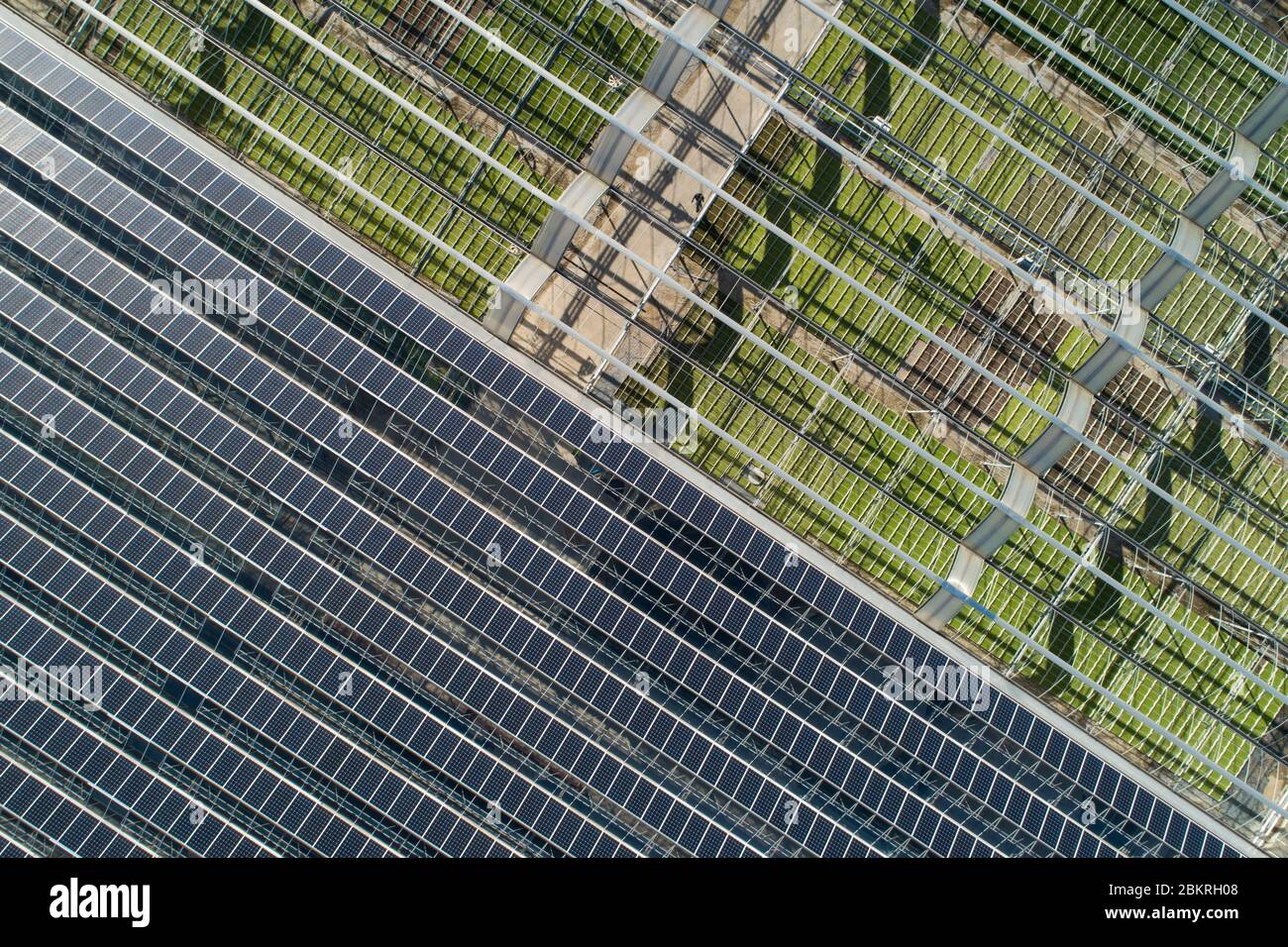 Frankreich, Bouches du Rhone, Pflanzen der Provence, Gewächshaus, Produktion von Gartenpflanzen (Luftaufnahme) Stockfoto