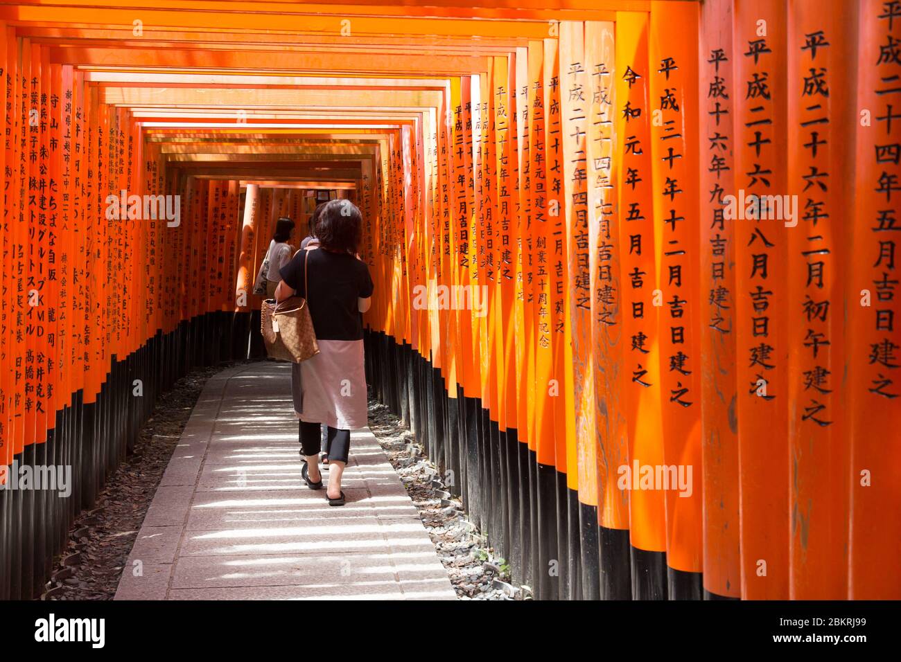 Japan, Honshu Island, Kansai Region, Kyoto, Fushimi ku Bezirk, Le Fushimi Inari taisha Schrein, Tor oder Torii Stockfoto