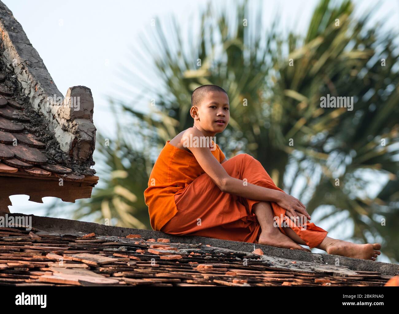 Kambodscha, Dorf in der Nähe Tonle SAP See, junger Mönch Stockfoto