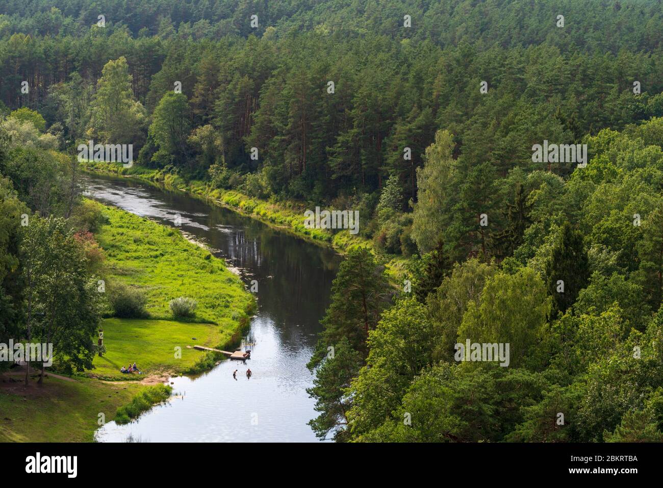 Litauen (Baltikum), Kreis Utena, Anyksciai, Baumwipfelpfad (Laju takas) Stockfoto