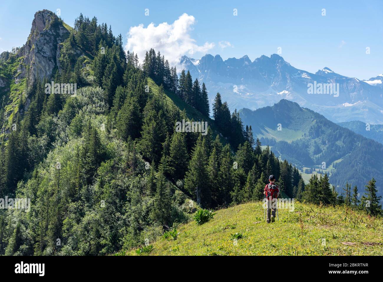 Frankreich, Haute Savoie, Massiv du Chablais, val d'Abondance, junger Wanderer, der vom Gipfel der Pointe de Recon (1952 m) in Richtung der Chalets du Mouet (1750 m) abfährt Stockfoto