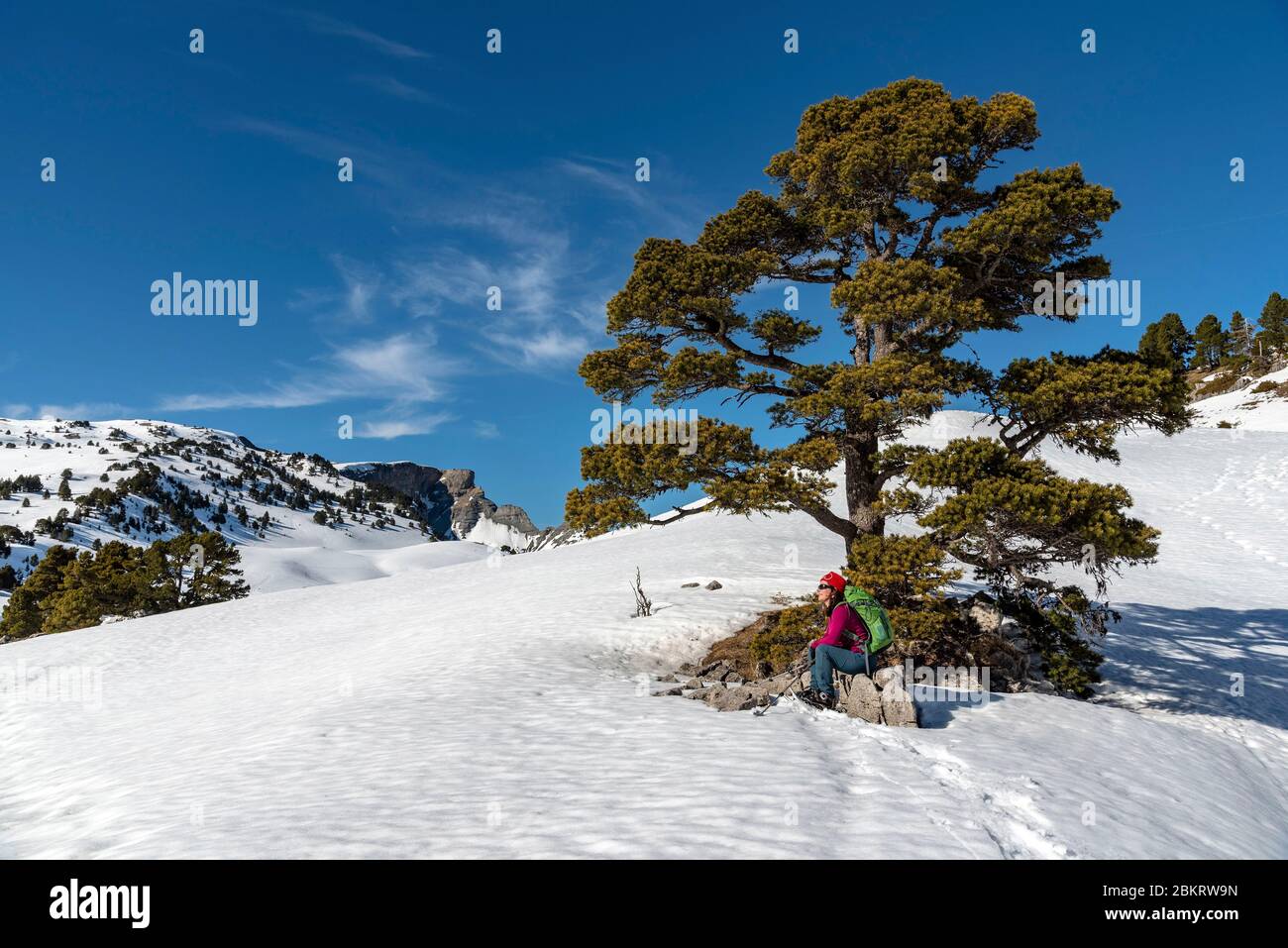 Frankreich, Drome, regionaler Naturpark Vercors, T?te de Praorzel (1691m), bergauf am Kamm Stockfoto