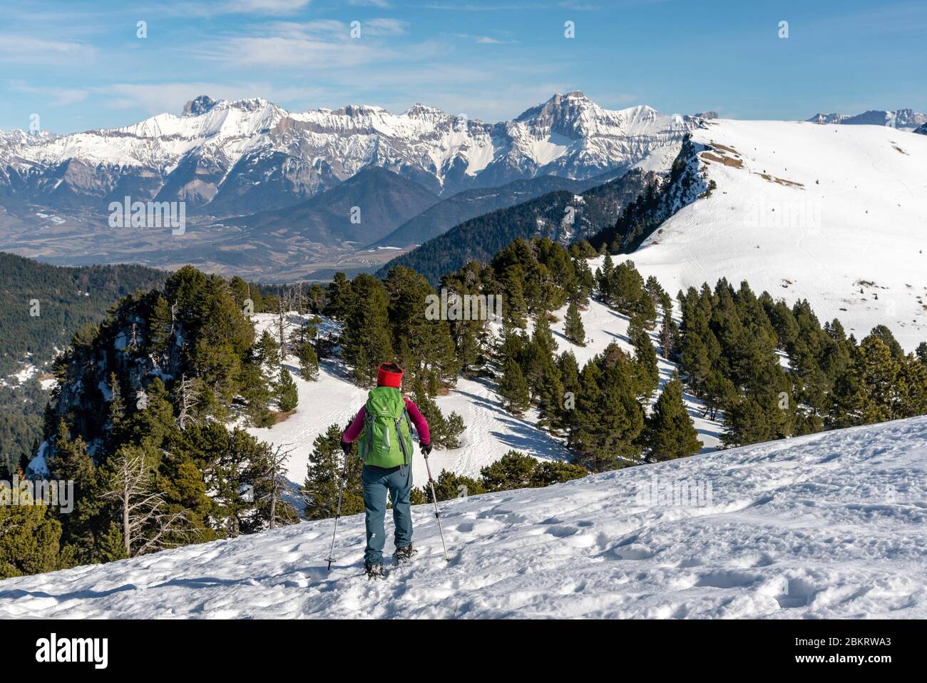 Frankreich, Drome, Vercors regionaler Naturpark, T?te de Praorzel (1691m), Wanderer mit Schneeschuhen auf dem Wappen, der zum Kopf von Praorzel führt Stockfoto
