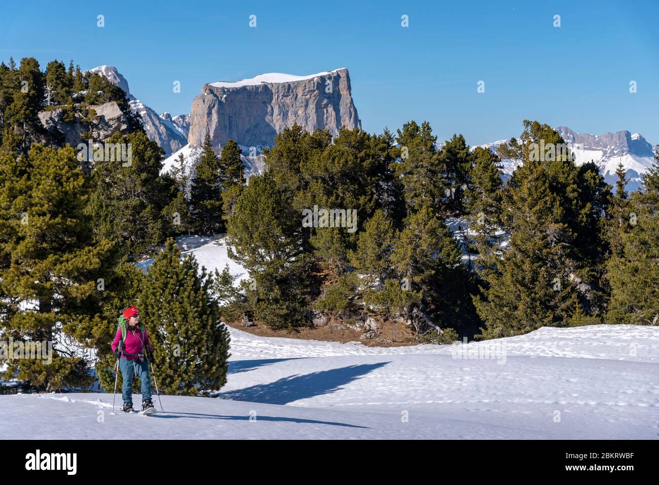 Frankreich, Drome, Vercors Regional Natural Park, T?te de Praorzel (1691m), Wanderer mit Schneeschuhen auf dem Wappen, der zum Kopf von Praorzel führt, im Hintergrund Mont Aiguille (2087m) Stockfoto