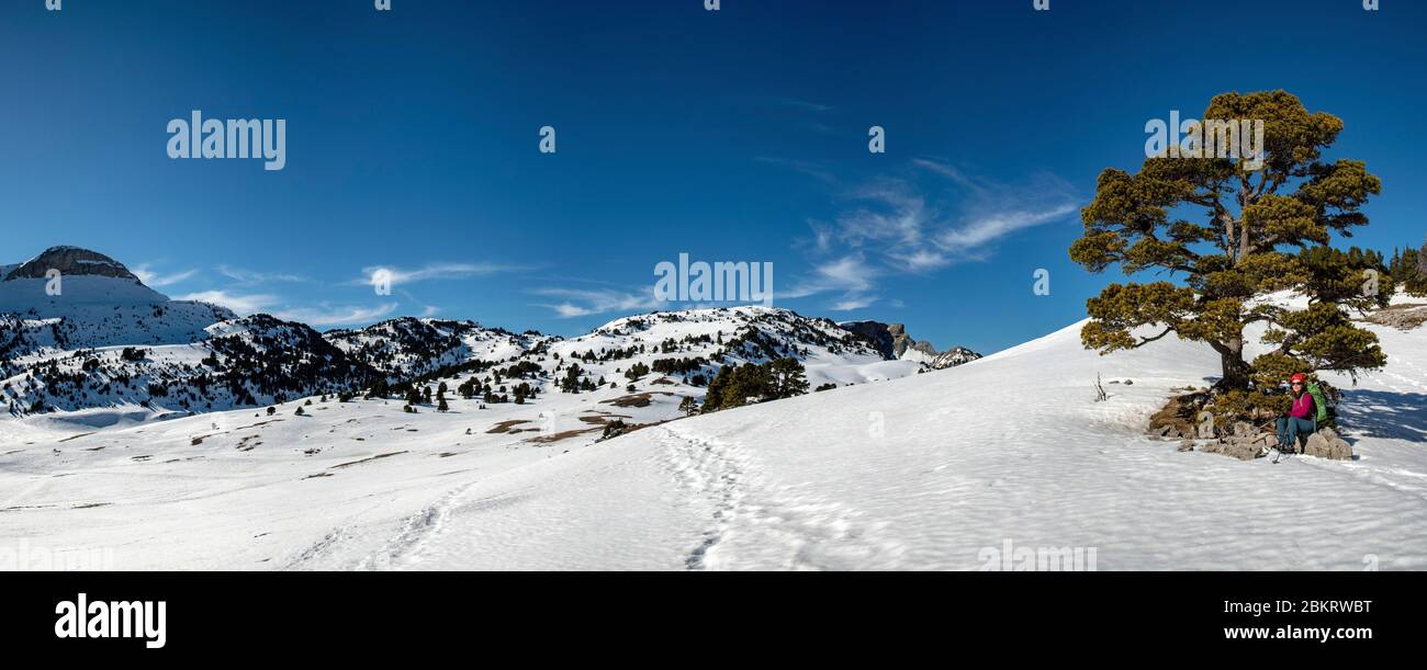 Frankreich, Drome, regionaler Naturpark Vercors, Kopf von Praorzel (1691m), Panoramablick auf den Gipfel des Combo-Tals mit dem Gipfel der Montagnette (1972m) auf der linken Seite Stockfoto