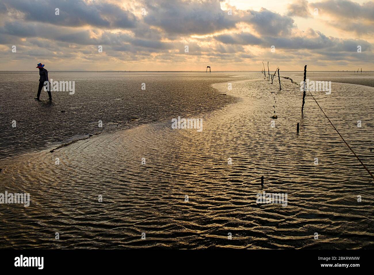 Vietnam, Provinz Tien Giang, Go Cong, der Strand Stockfoto