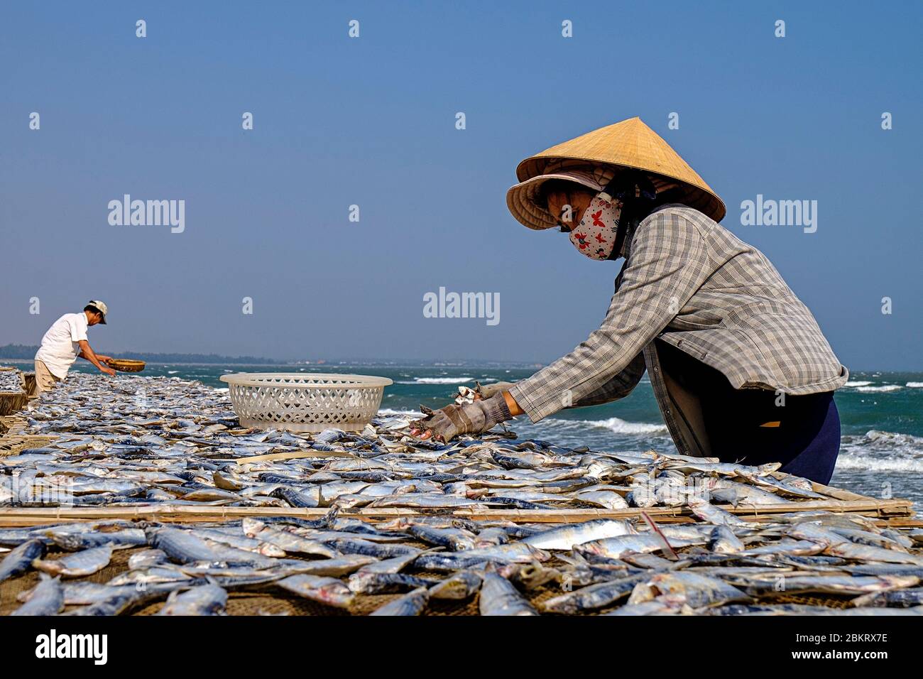 Vietnam, Ninh Thuan Provinz, Chi Cong, Trocknung von Fischen Stockfoto
