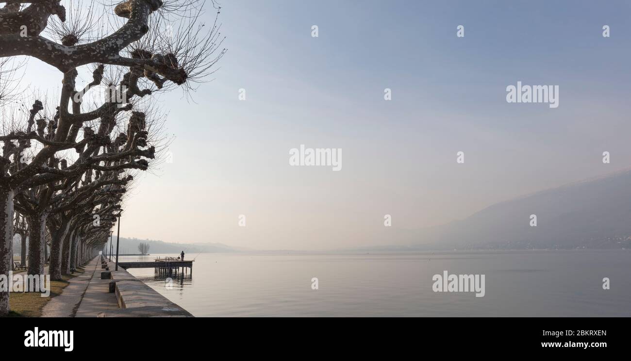 Frankreich, Savoie, Lac du Bourget, Aix-les-Bains, Riviera der Alpen, Esplanade des Sees mit Platanen im Winter gesäumt Stockfoto