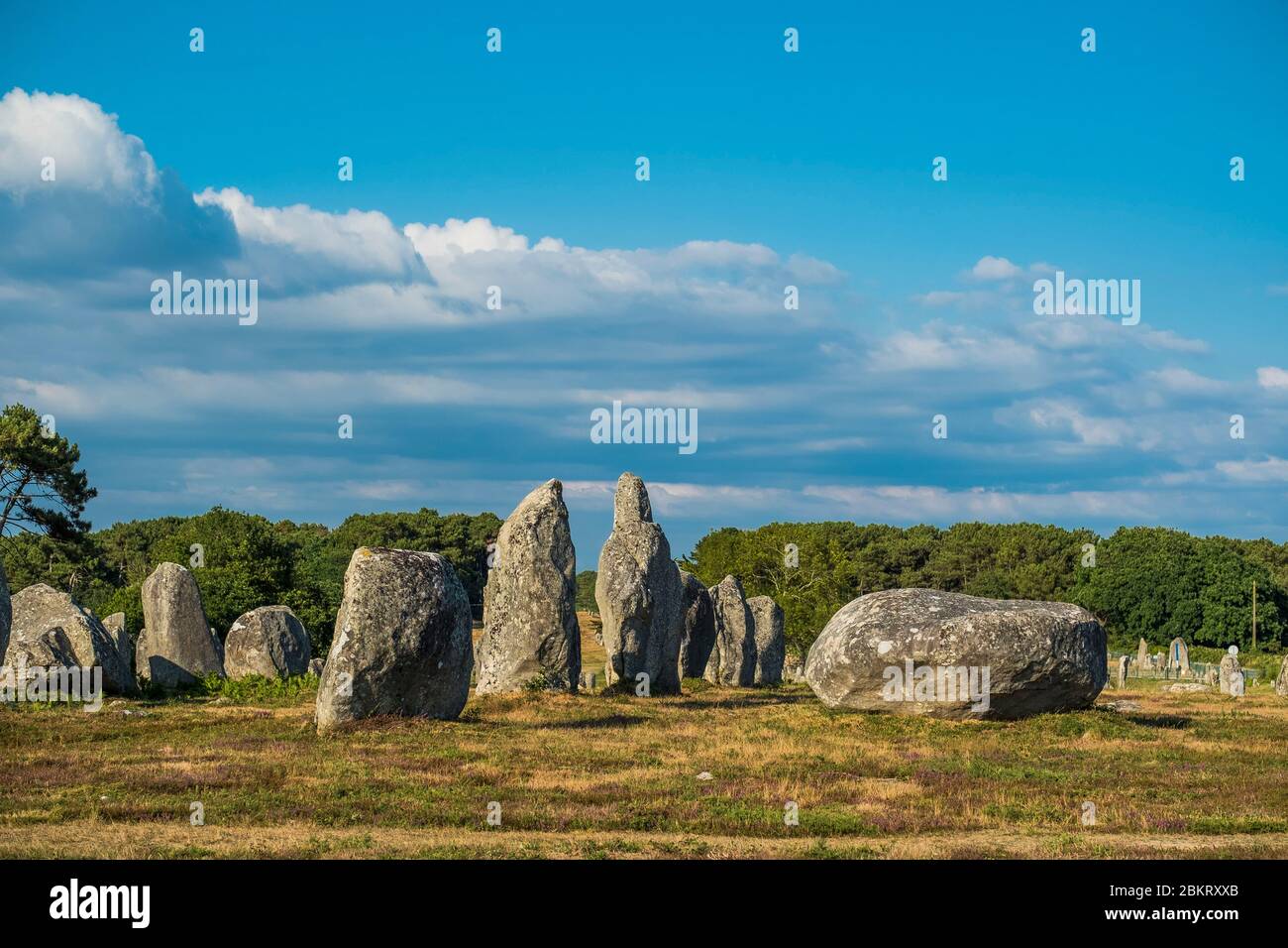 Frankreich, Morbihan, Carnac, megalithische Ausrichtung (Menhir) Stockfoto