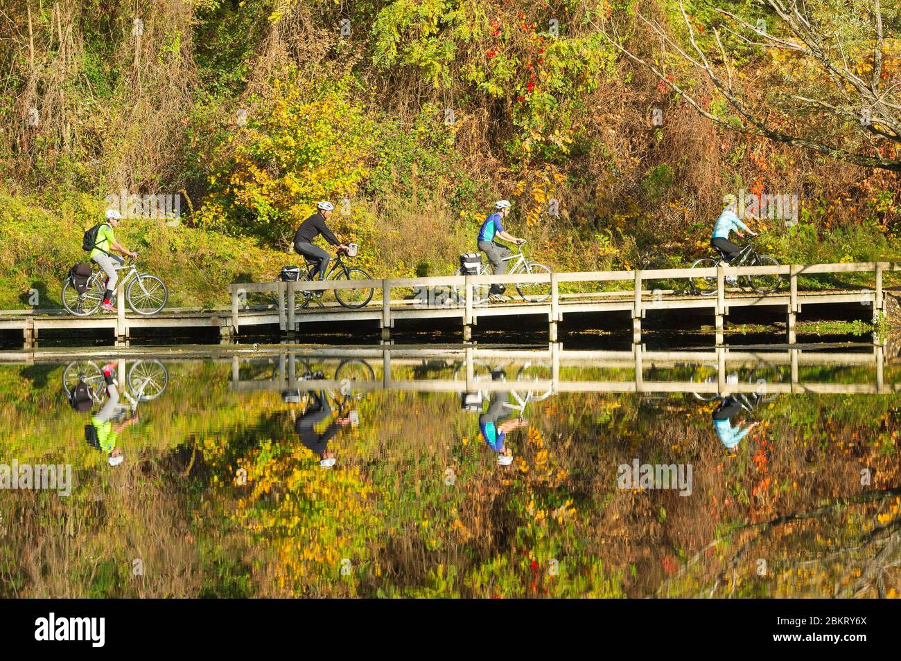 Frankreich, Drome, Andancette, Via Rhona, Radler am Ufer der Rhone bei Andancette Stockfoto