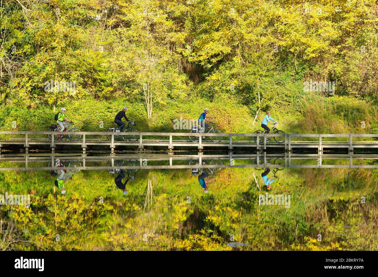 Frankreich, Drome, Andancette, Via Rhona, Radler am Ufer der Rhone bei Andancette Stockfoto