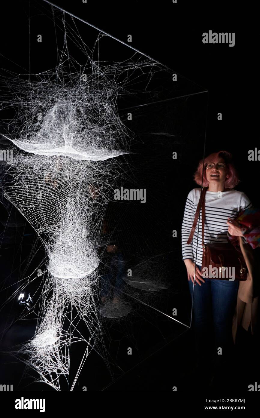 Frankreich, Paris, Palais de Tokyo, On Air Ausstellung des Künstlers Tomas Saraceno, Spinnennetze bilden die Arbeit Netze von AT-Zelt (s) Ion Stockfoto
