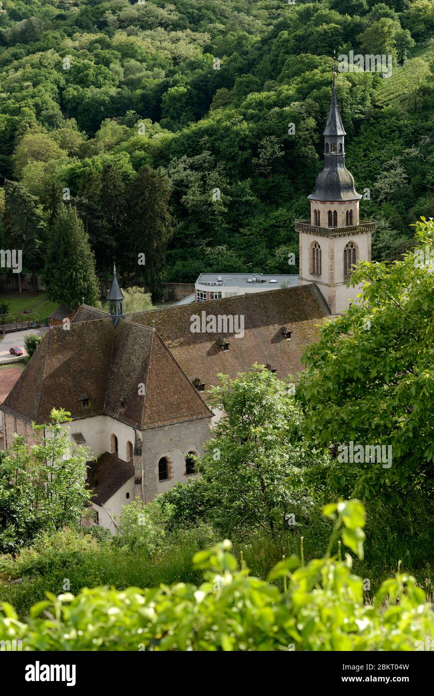 Frankreich, Bas Rhin, Andlau, Saint Pierre und Saint Paul Basilika aus dem 12. Und 18. Jahrhundert, aus den Weinbergen von Kastelberg Stockfoto