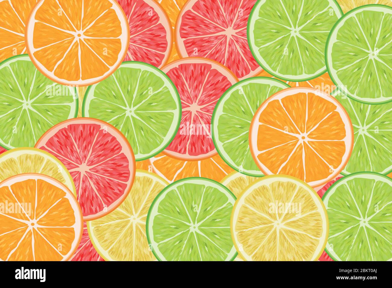Viele Scheiben Zitruslime Orange Zitrone Grapefruit Stock Vektor