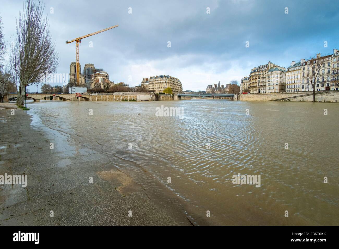 Frankreich, Paris, Hochwasser vom März 2020, Hafen von Montebello und Kathedrale Notre Dame de Paris Stockfoto